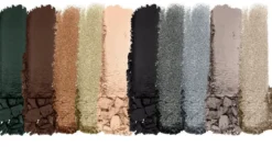 Color Icon Paleta de Sombras 10 Pan