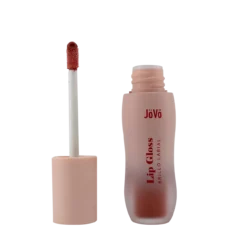 Color Lip Gloss