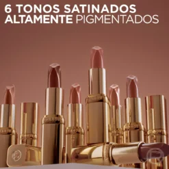 Color Riche Barra de Labios