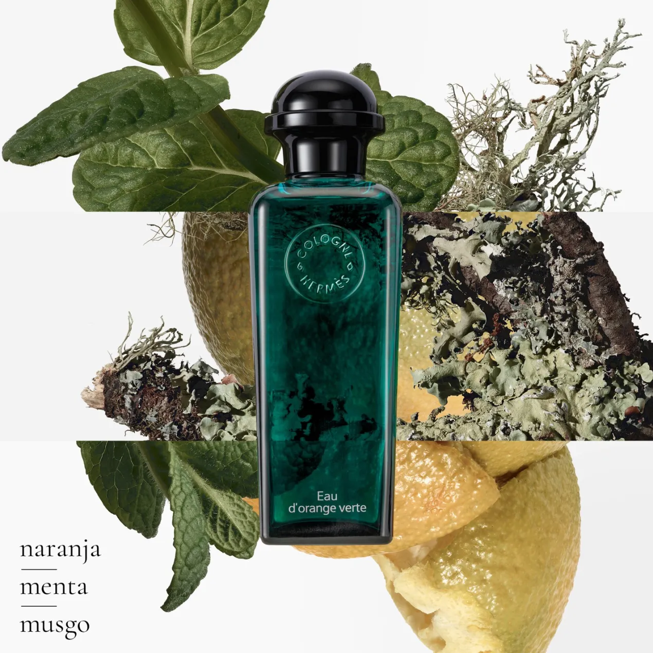 Concentré d'orange verte Eau de toilette