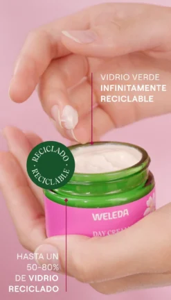 Crema de Día Alisante de Rosa Mosqueta y Té Blanco