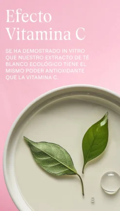 Crema de Día Alisante de Rosa Mosqueta y Té Blanco