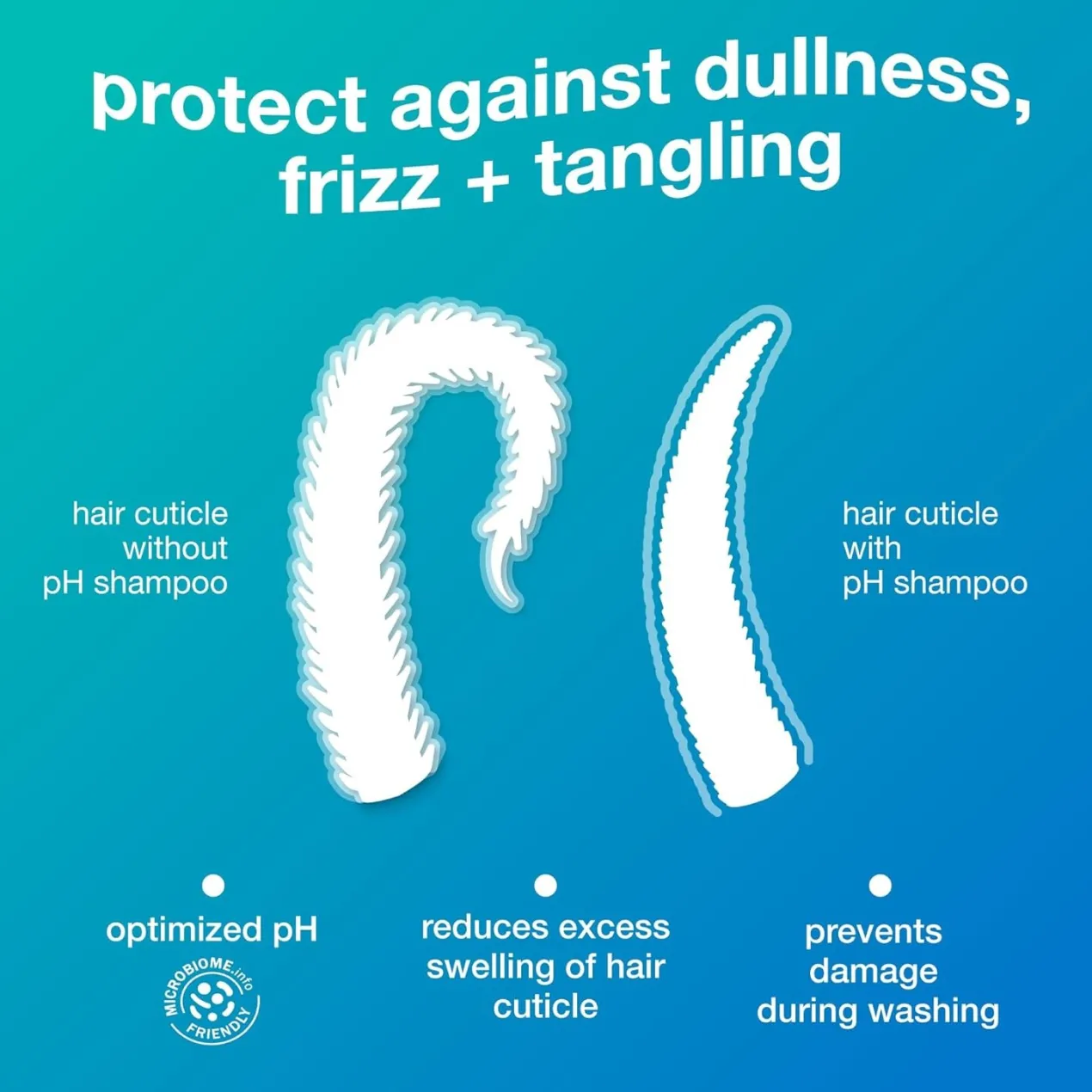 Damage Shield Champú Protector de pH