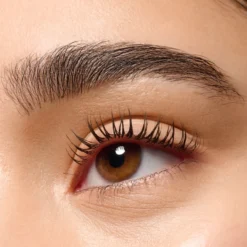 Delineador de Cejas Microblading