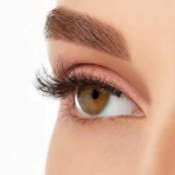 Demi Wispies Pestañas Postizas Black