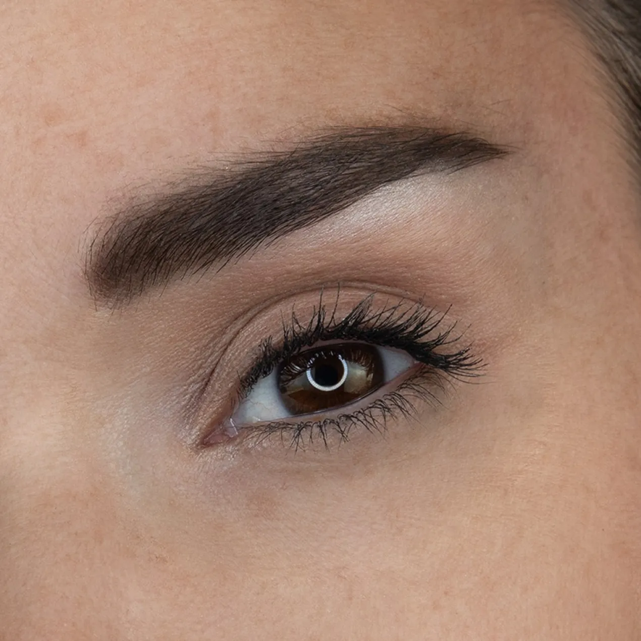 Diva Brows Paleta para Cejas