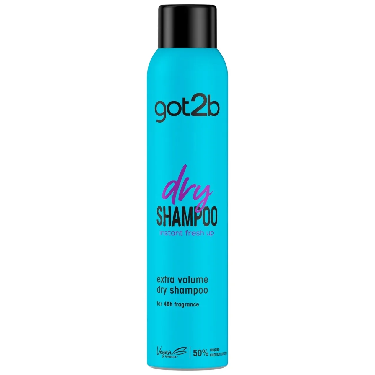 Dry Shampoo Extra Volume Champú Seco