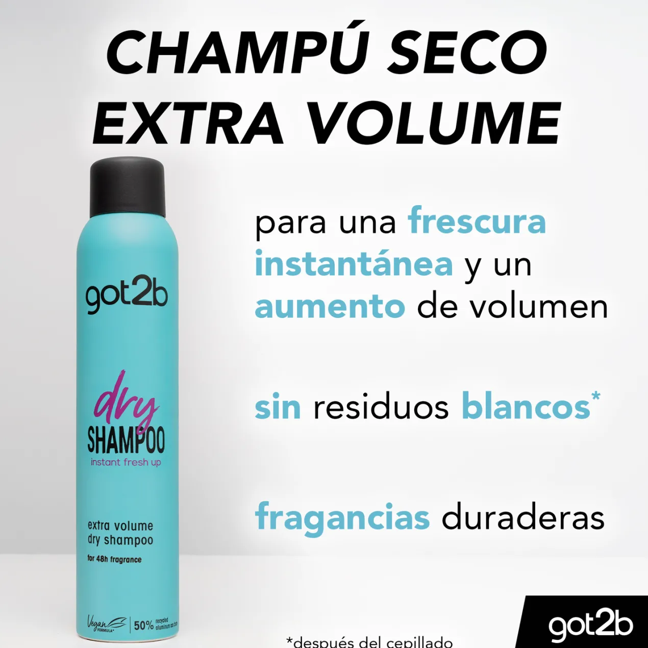 Dry Shampoo Extra Volume Champú Seco