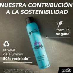 Dry Shampoo Extra Volume Champú Seco