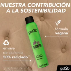 Dry Shampoo Fresh It Up Champú en Seco