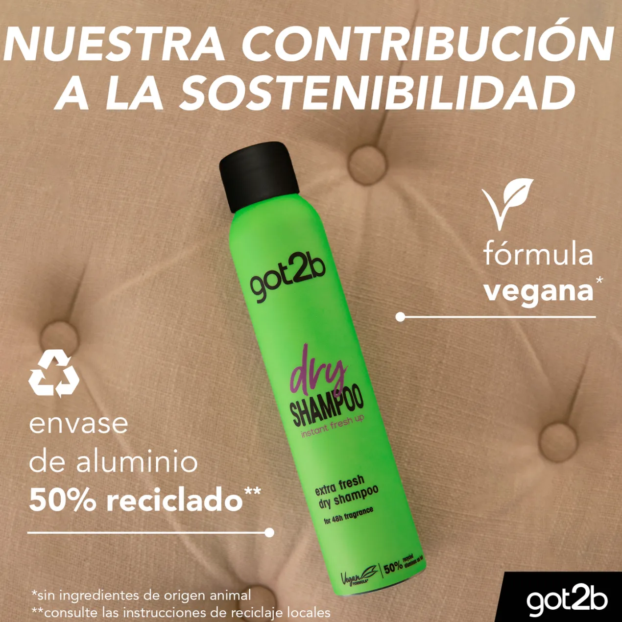 Dry Shampoo Fresh It Up Champú en Seco