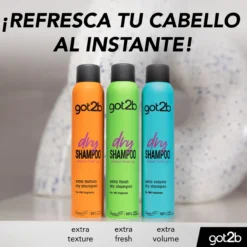 Dry Shampoo Fresh It Up Champú en Seco