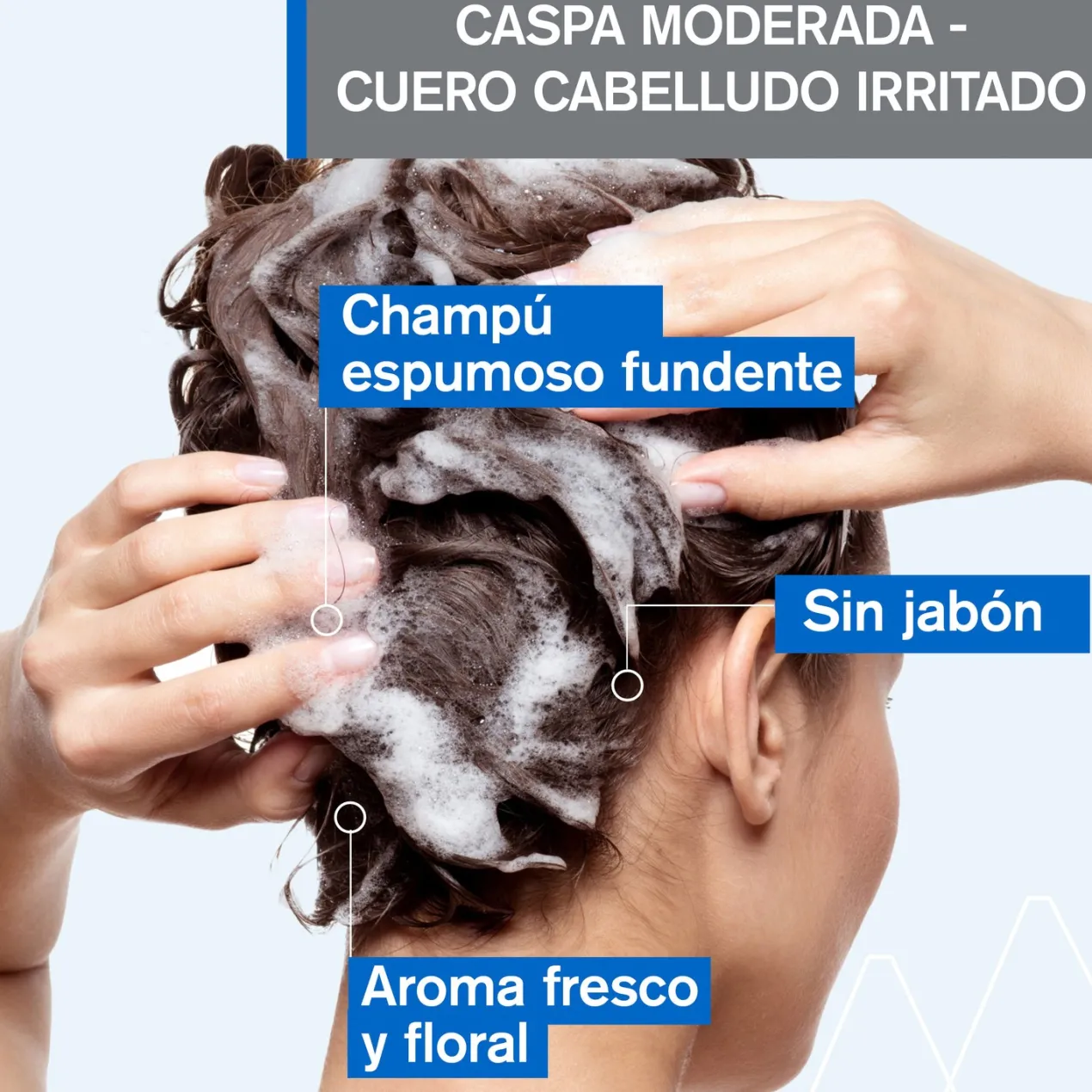 DS Hair Champú Anticaspa