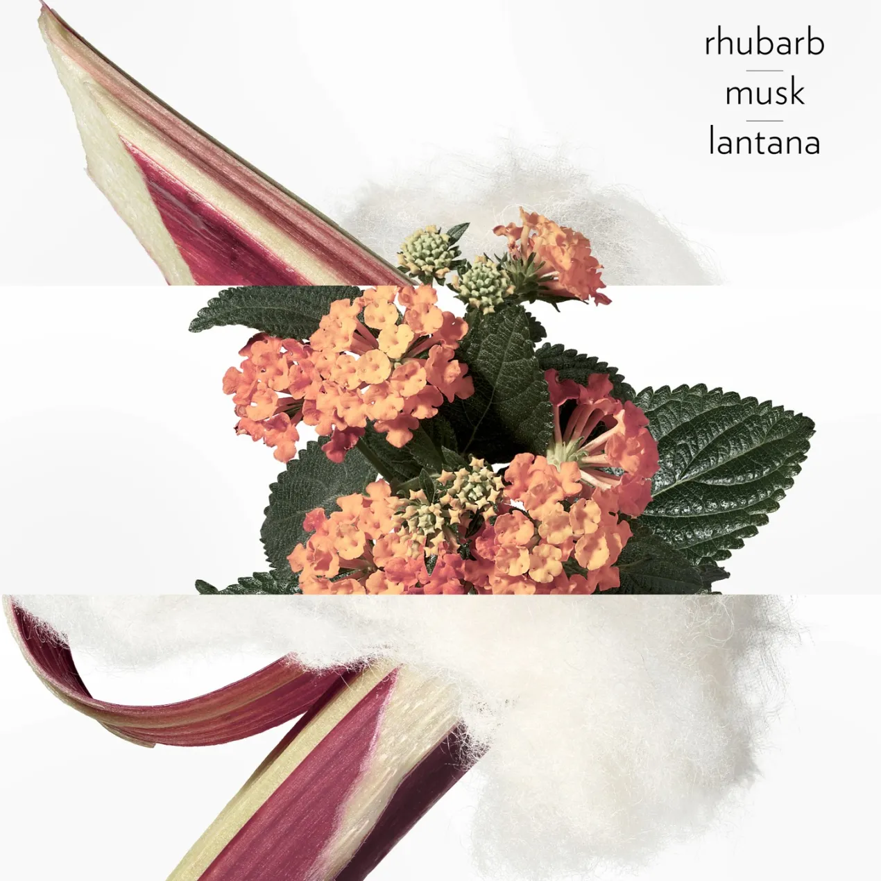 Eau de rhubarbe Écarlate Eau de Cologne