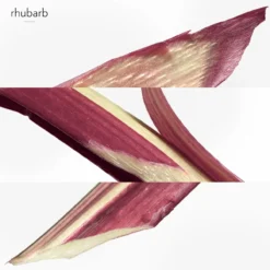 Eau de rhubarbe Écarlate Eau de Cologne