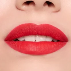 Endless Mate Liquid Lipstick Labial Líquido