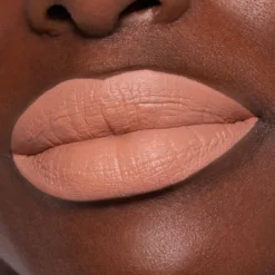 Endless Mate Liquid Lipstick Labial Líquido