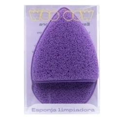 Esponja Limpiadora