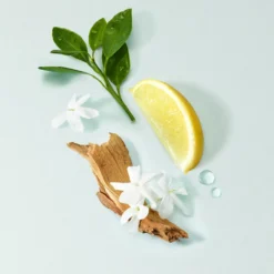 Estuche Acqua Di Gioia Eau de Parfum
