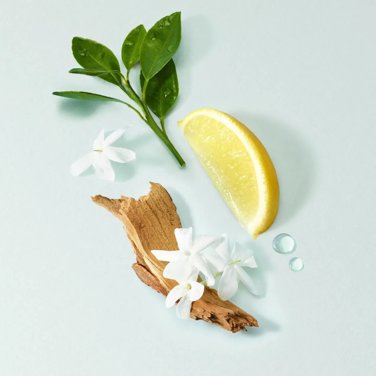 Estuche Acqua Di Gioia Eau de Parfum