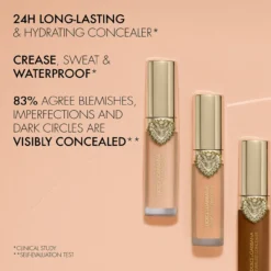 Everlast Concealer