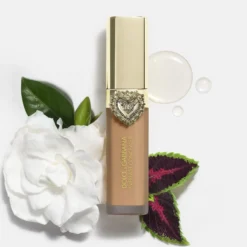 Everlast Concealer