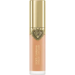 Everlast Concealer