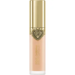 Everlast Concealer