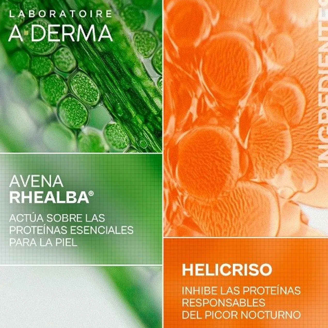 Exomega Crema de Noche Para Piel Seca