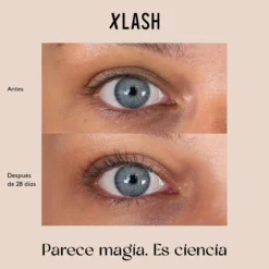 Eyelash Serum