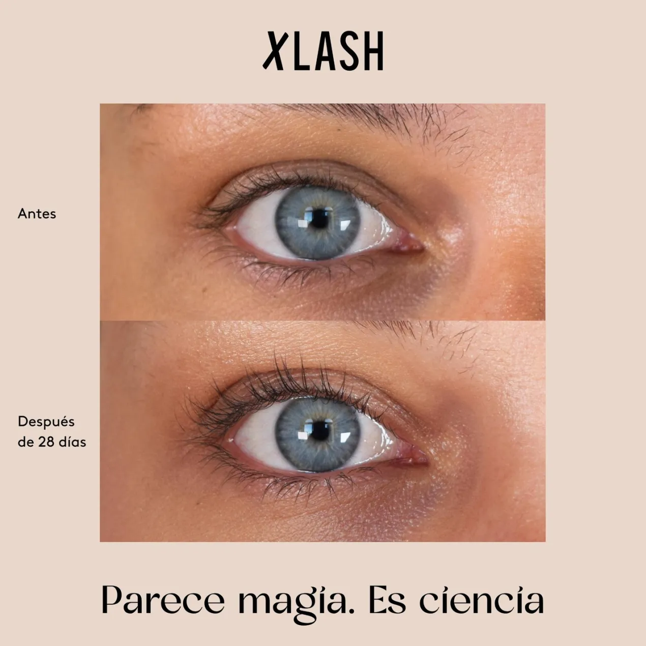 Eyelash Serum