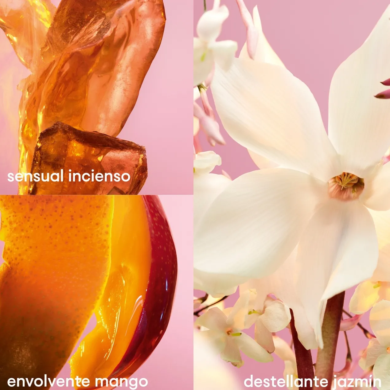 Fame Desodorante Perfumado