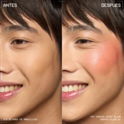 Fat Cheeks Juicy Blush Colorete Líquido