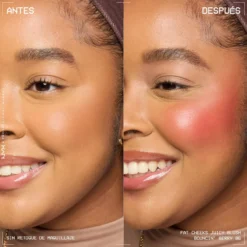 Fat Cheeks Juicy Blush Colorete Líquido