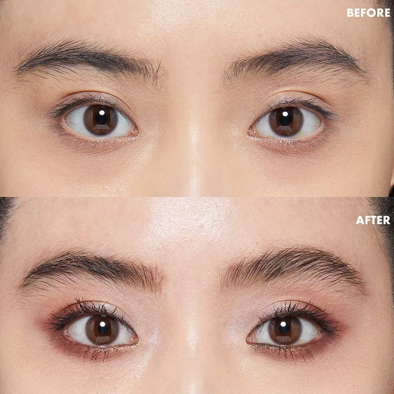 Fijador de Cejas Control Freak