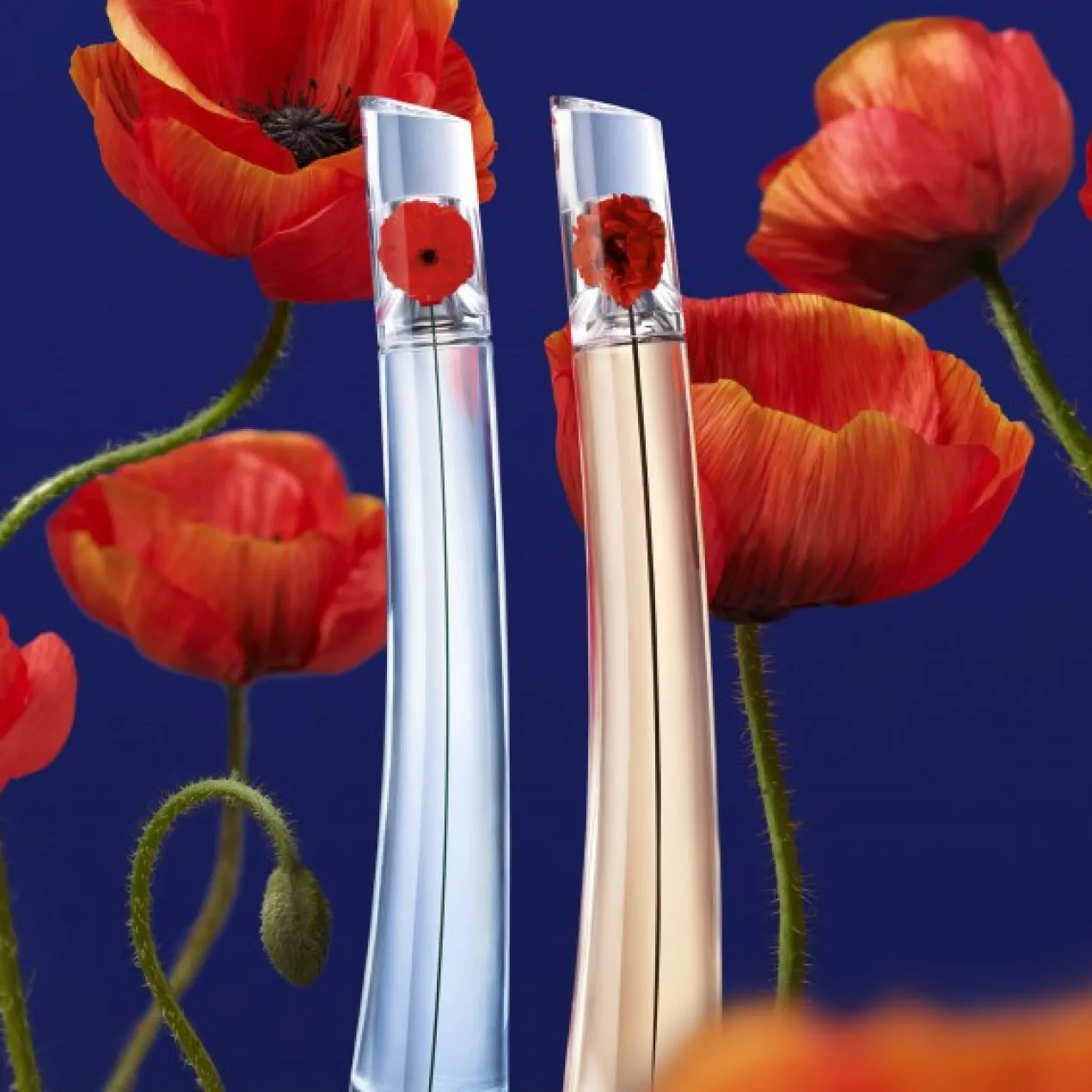 Flower By Kenzo L'Absolu Eau de Parfum Estuche