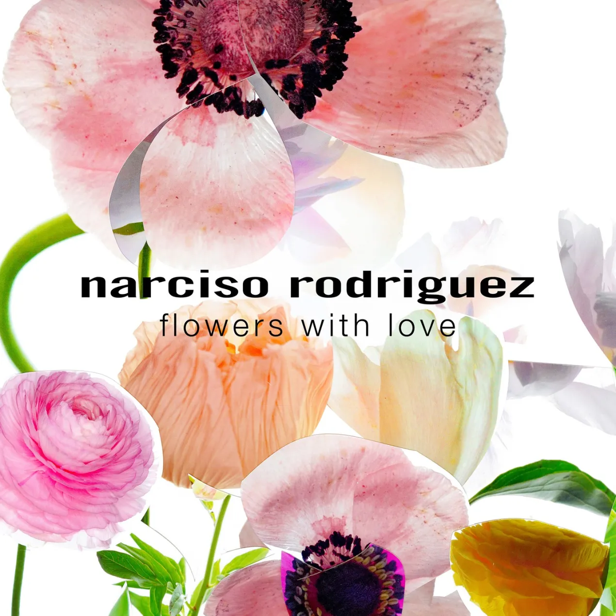 For Her Estuche de Mujer