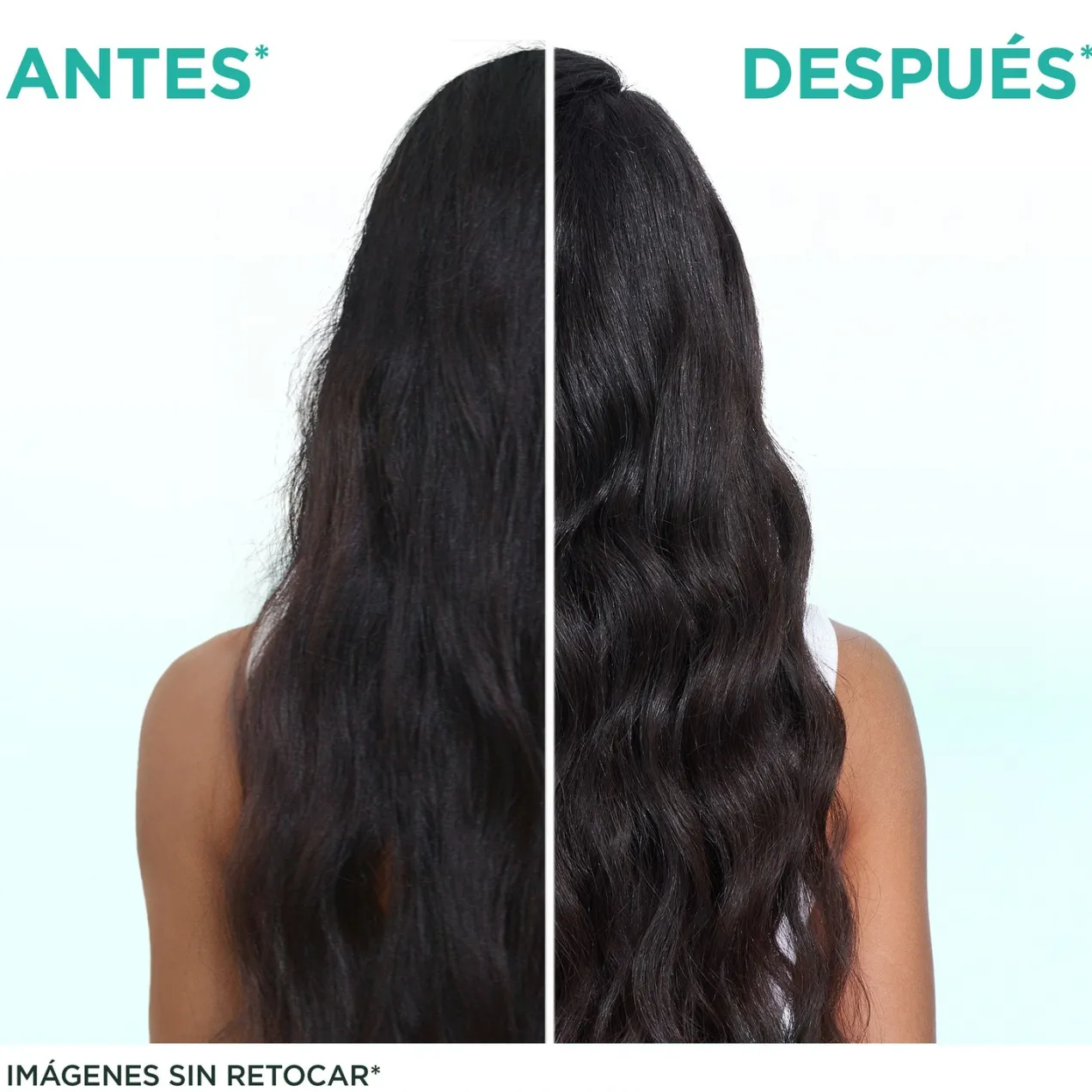 Fructis Hair Food Aloe Vera Champú Hidratante