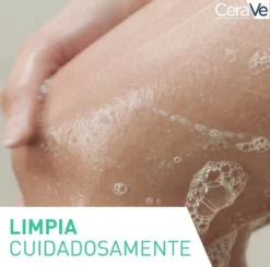Gel Limpiador Espumoso