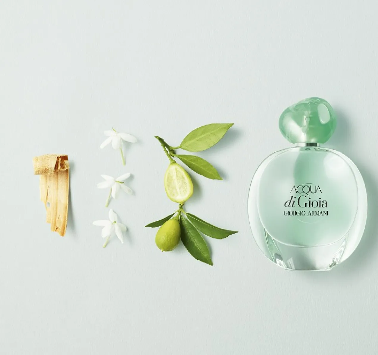 Giorgio Armani Perfume Mujer Acqua Di Gioia Eau de Parfum