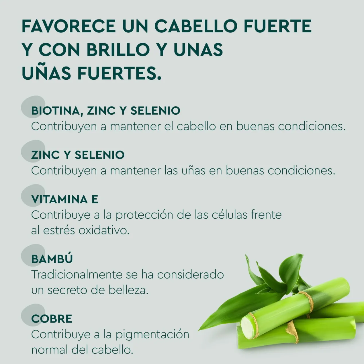 Gummies Cabello y Uñas