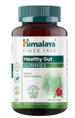 Gummies Healthy Gut