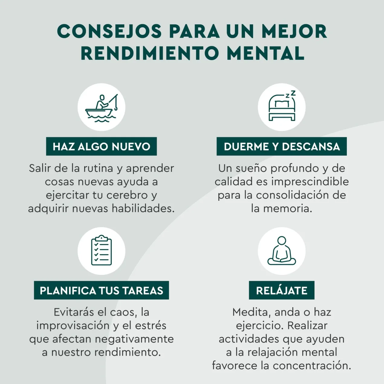 Gummies Memoria