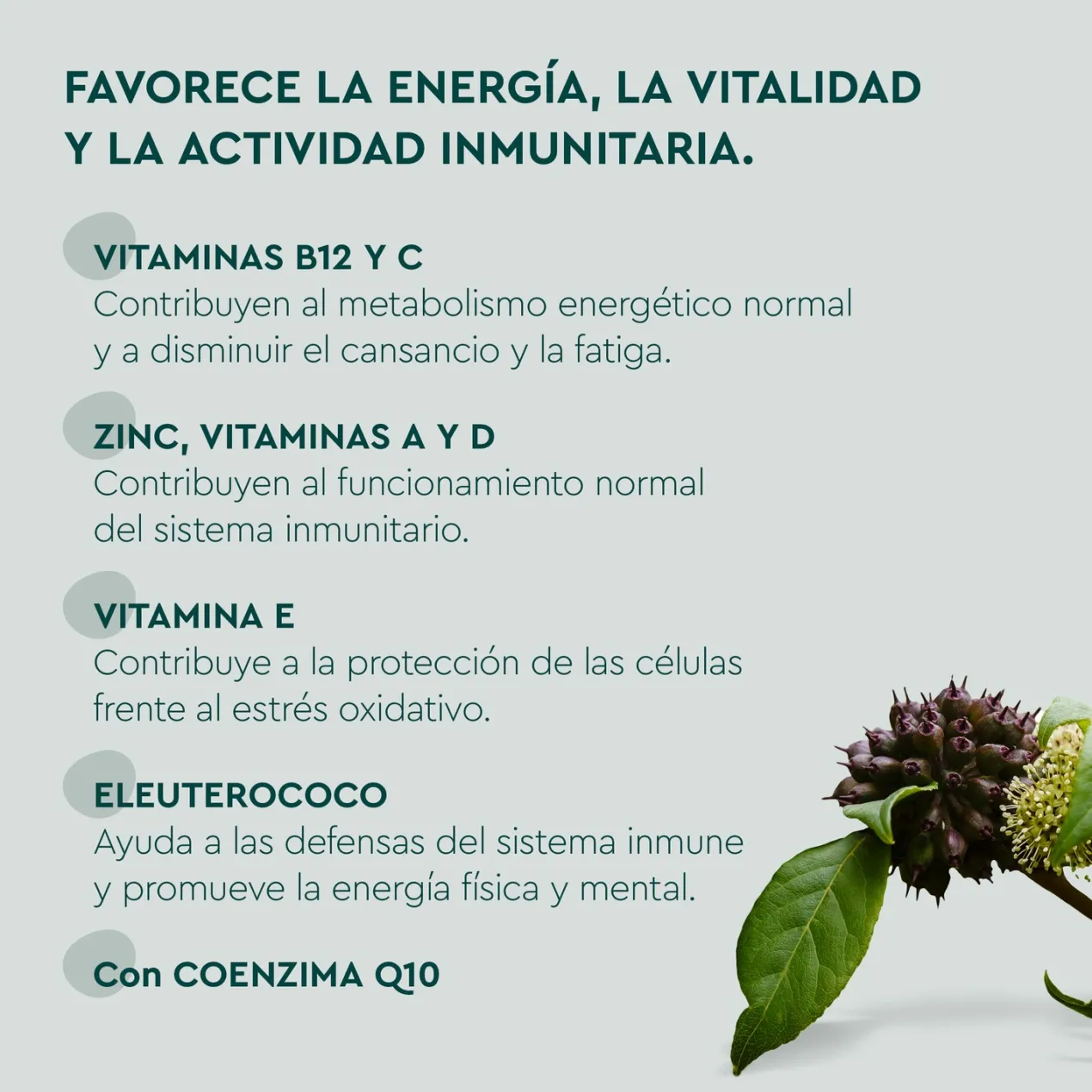 Gummies Multivitaminas