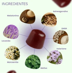 Gummies Sleep Melatonina