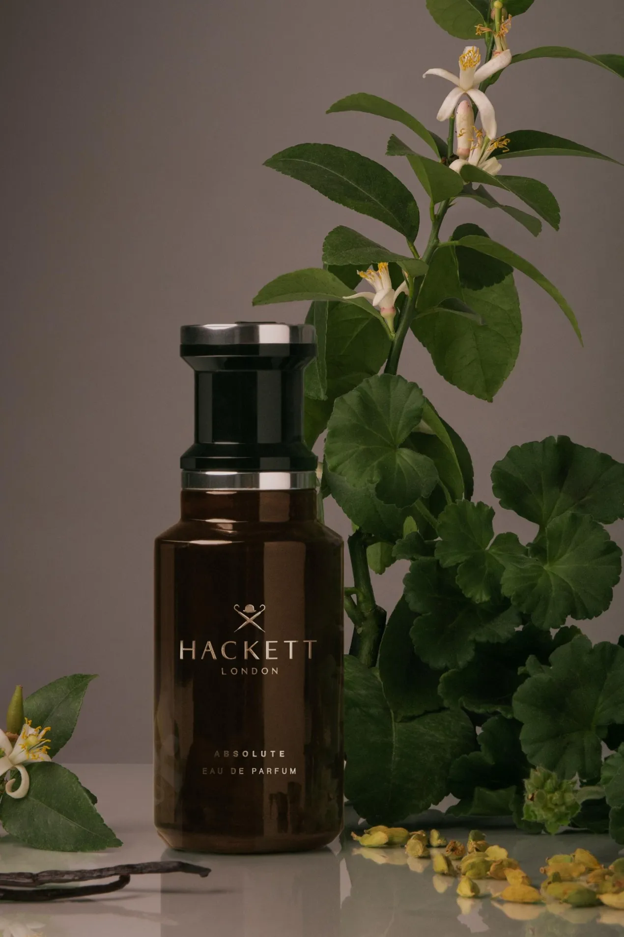 Hackett Men's Absolute Eau de Parfum Estuche de Regalo
