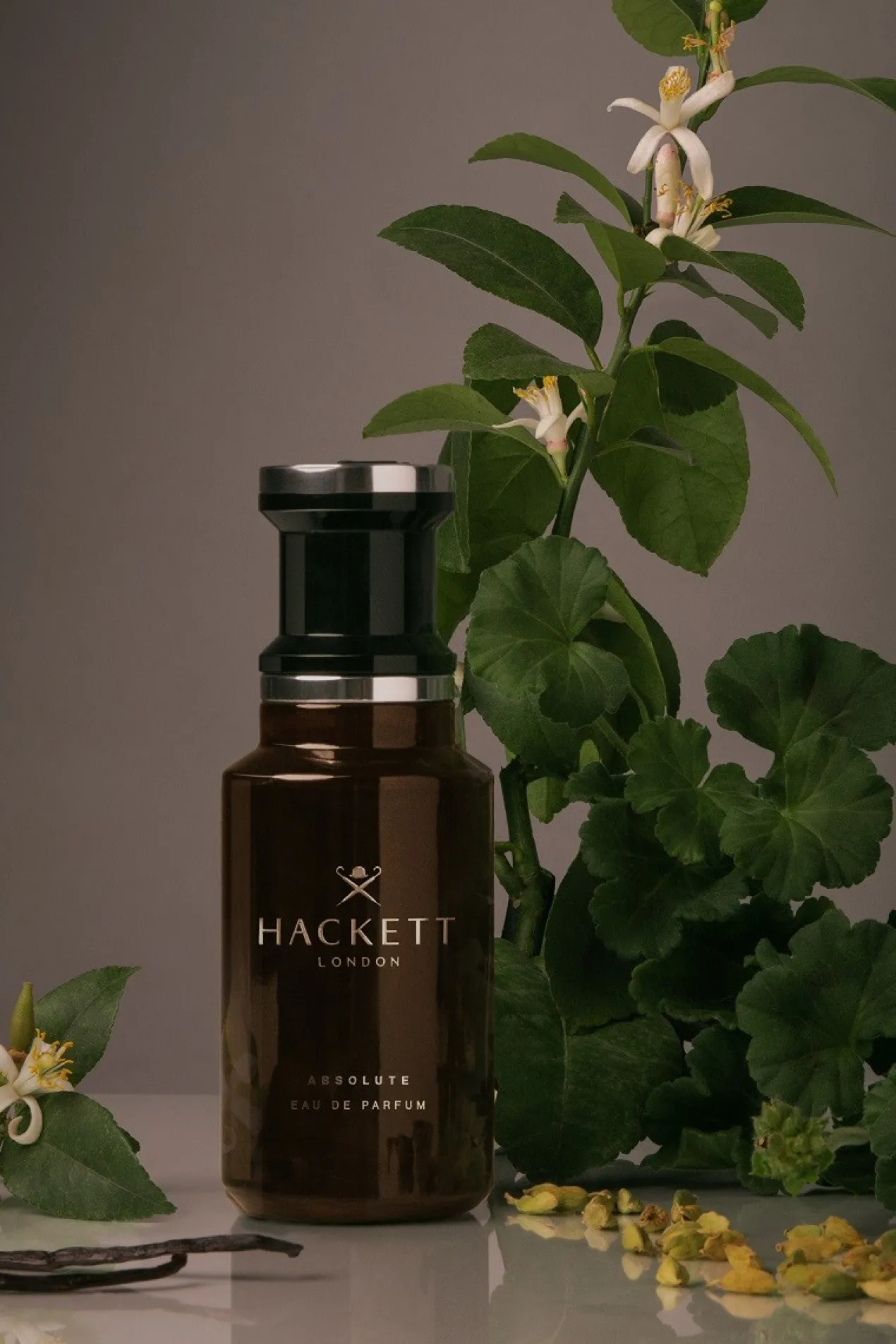 Hackett Men's Absolute Eau de Parfum Estuche de Regalo