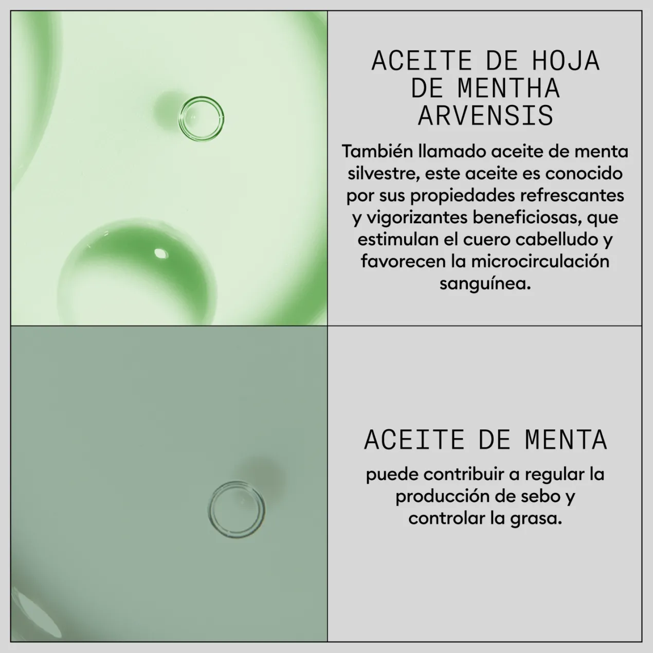 Hair Booster Serum Tratamiento Fortalecedor del Cabello