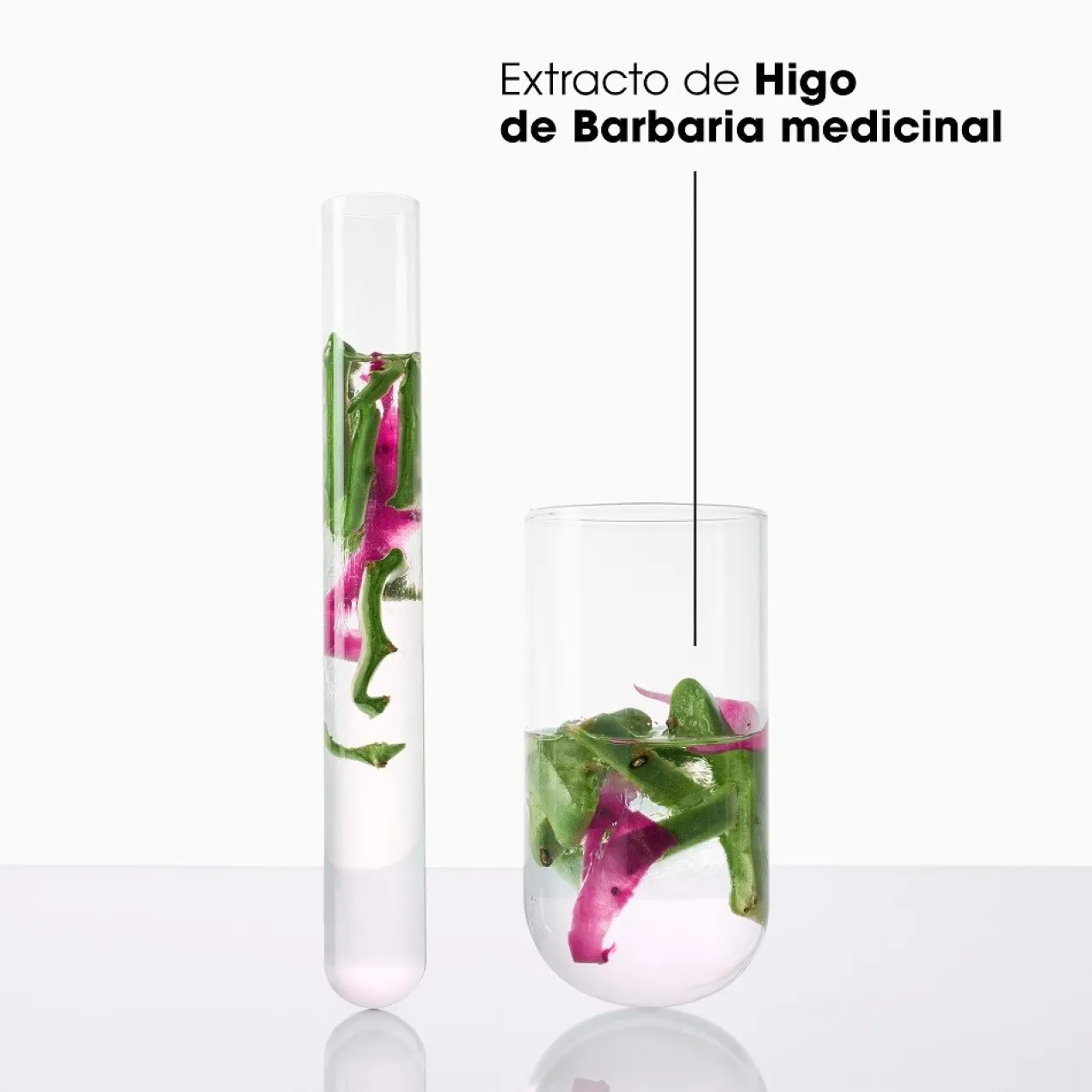Hidratación & Brillo Champú con Higo de Barbaria