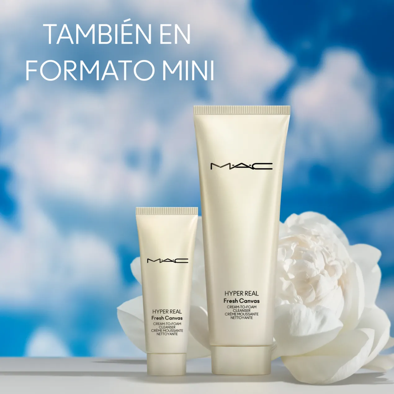 Hyper Real Fresh Cream to Foam Limpiador